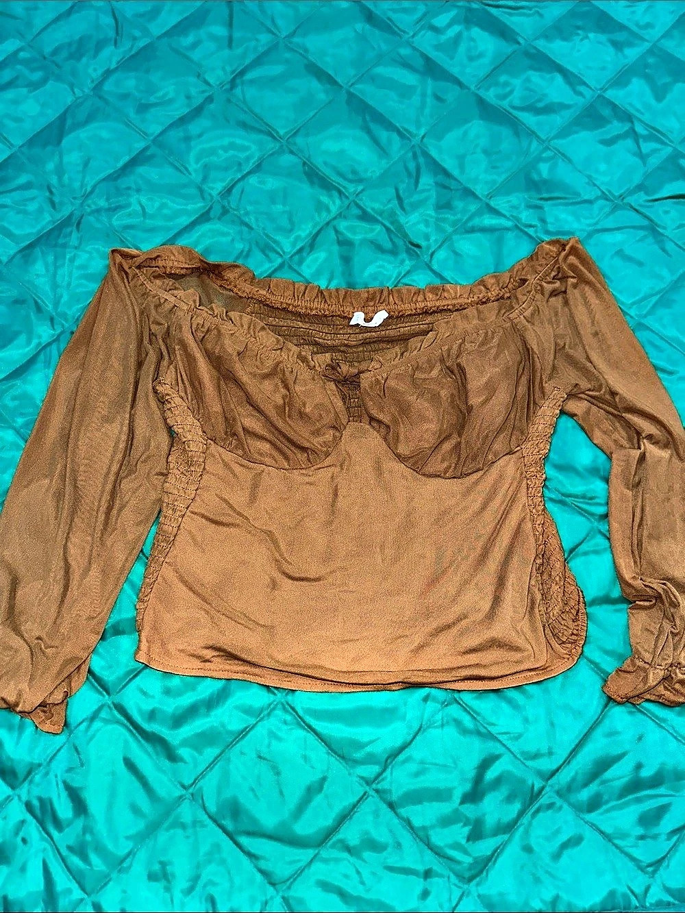 Blush Brown Long sheer Sleeve Blouse